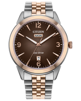 GTS. CITIZEN WATCH